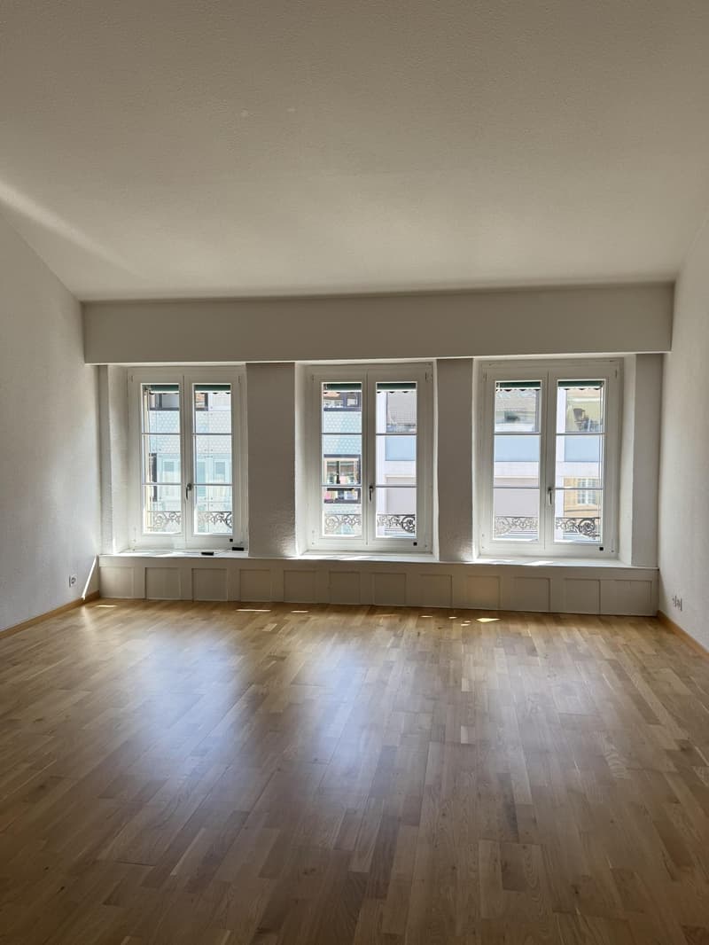 Charming apartment in Biel/Bienne (3)