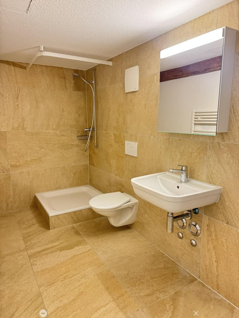 Charmante Wohnung in Biel/Bienne (5)