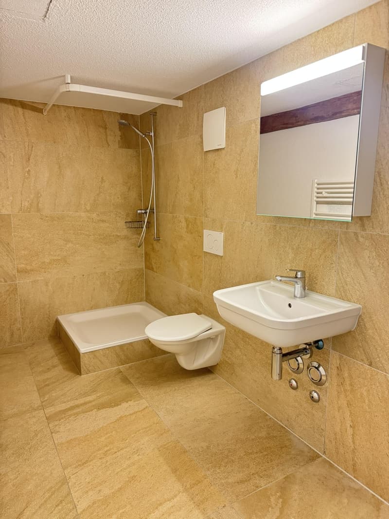 Charming apartment in Biel/Bienne (5)
