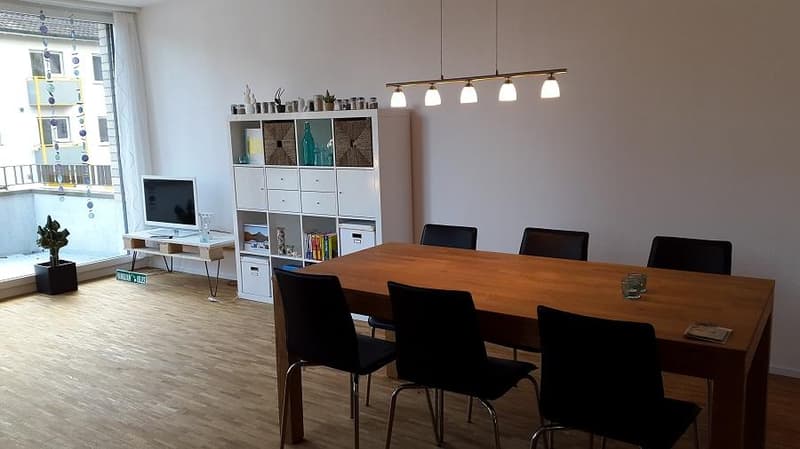 Vita moderna nel quartiere di Holligen (4)