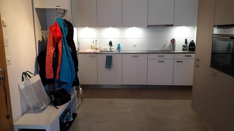 Vita moderna nel quartiere di Holligen (2)