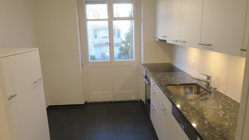 Charming apartment in Holligen quarter (7)