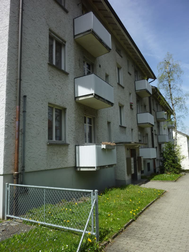 Charming apartment in Holligen quarter (1)