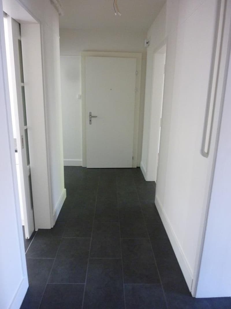 Charming apartment in Holligen quarter (10)