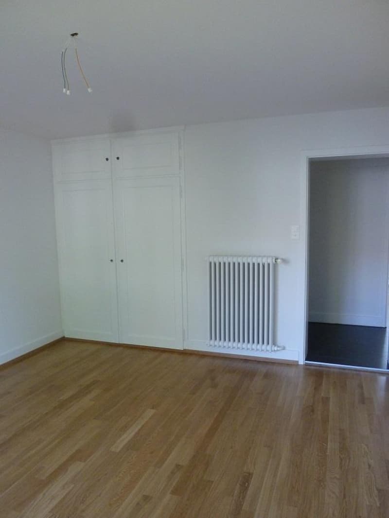 Charming apartment in Holligen quarter (3)