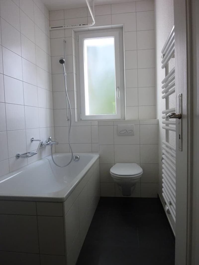 Charming apartment in Holligen quarter (8)