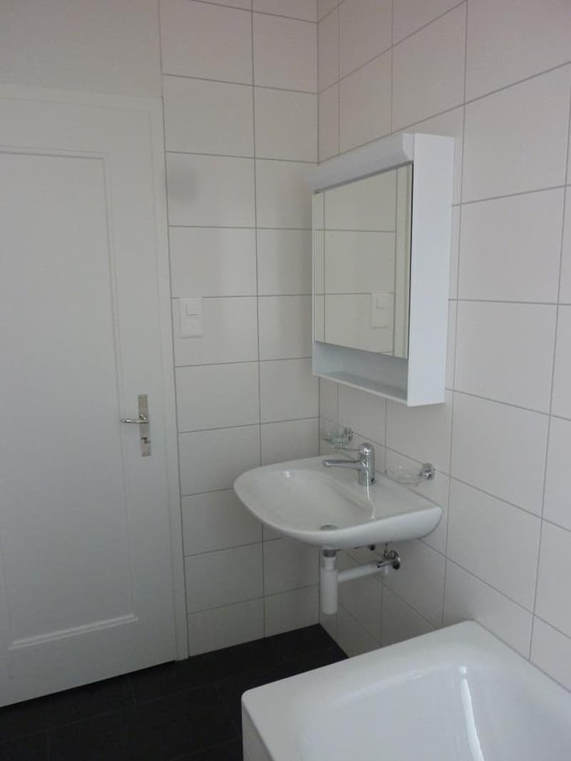 Charming apartment in Holligen quarter (9)