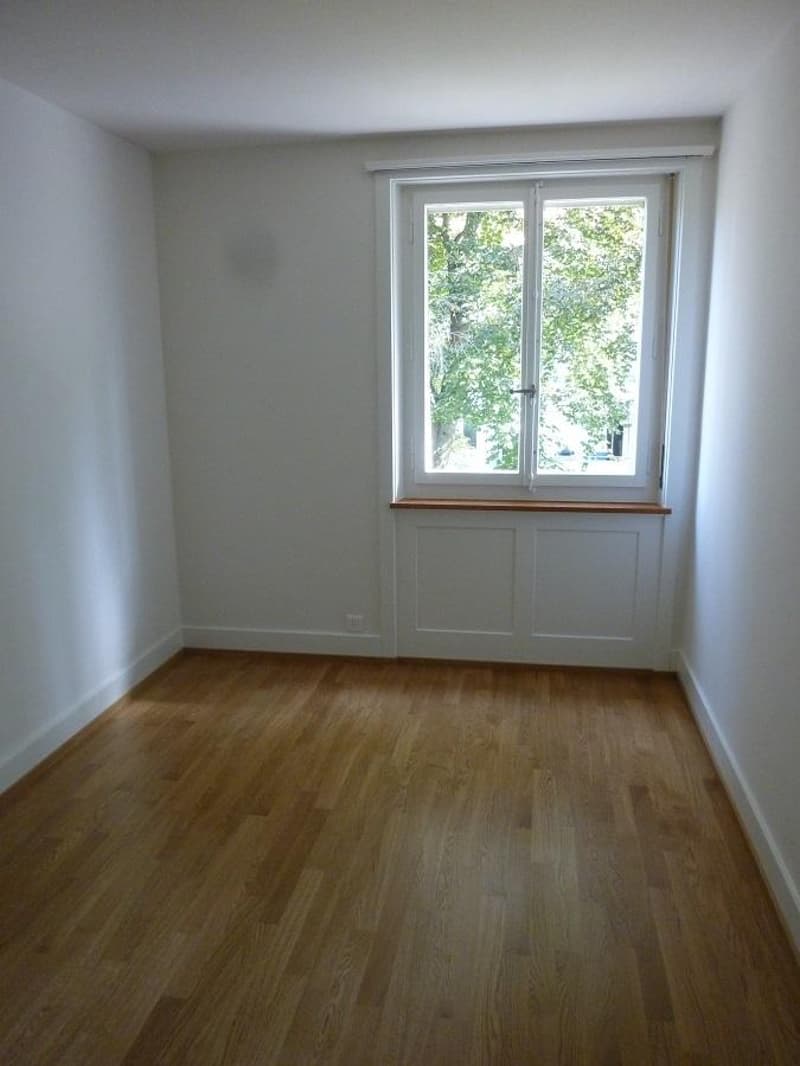 Charming apartment in Holligen quarter (4)