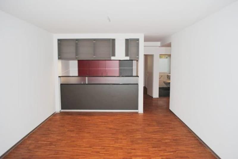 Modern apartment directly at Eigerplatz (3)