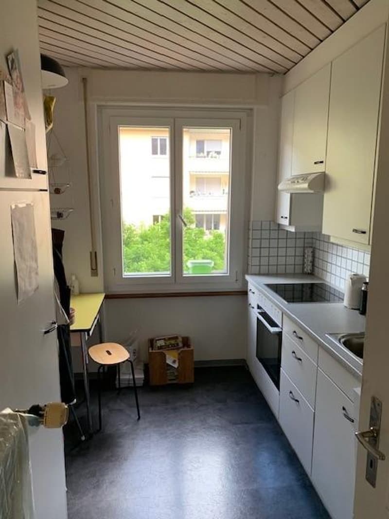 Appartamento accogliente nel cuore di Berna (1)