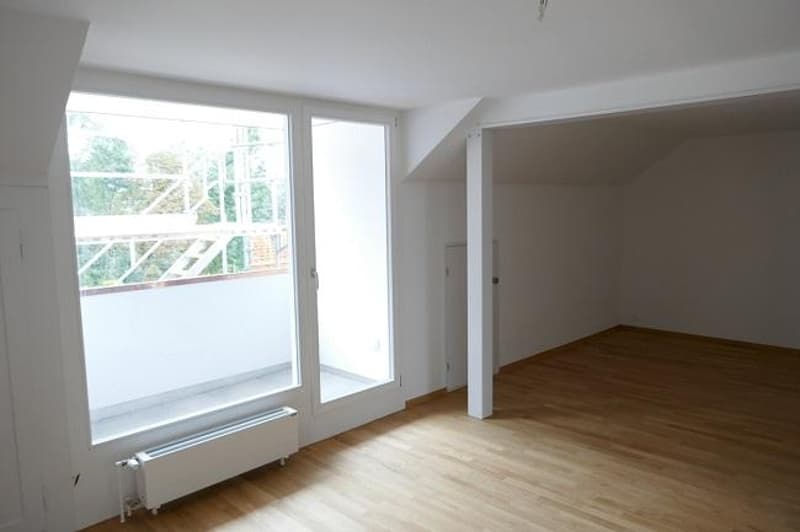 Attractive 2-room apartment in Bern (1)