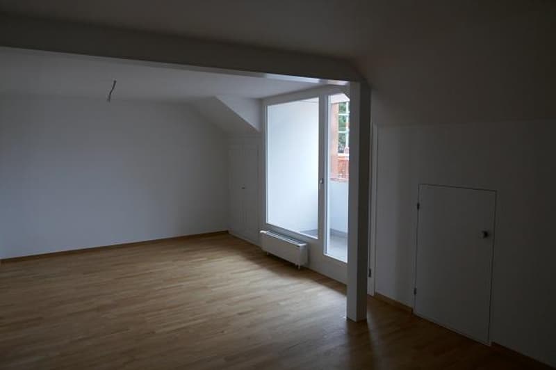 Attractive 2-room apartment in Bern (2)