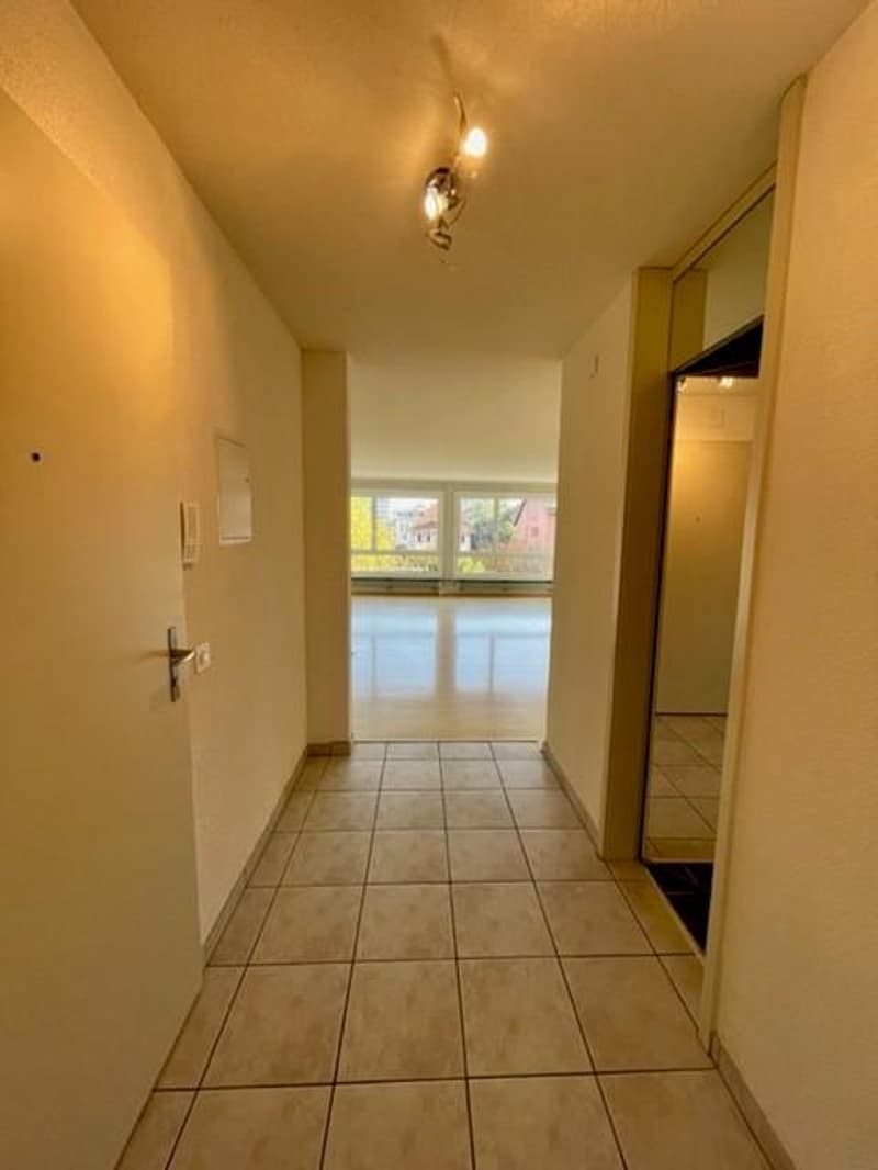 Large family apartment in Lyss (7)