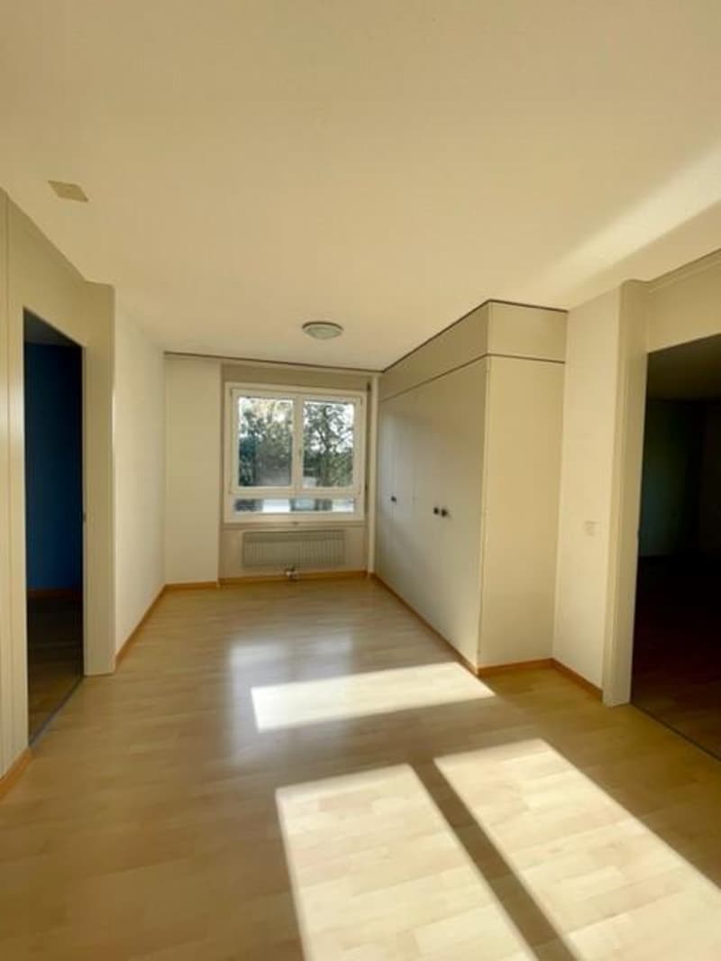 Large family apartment in Lyss (6)