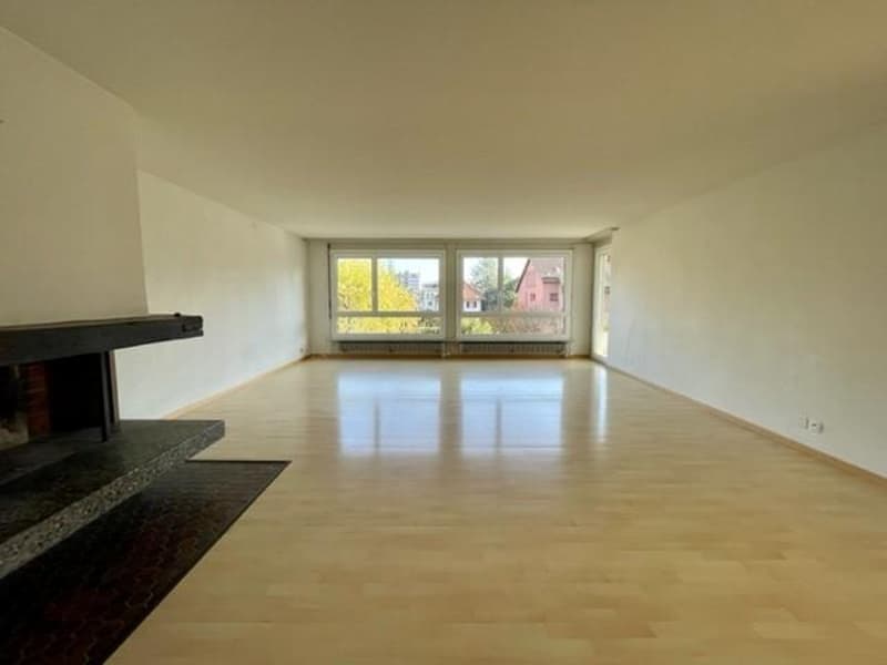 Large family apartment in Lyss (5)