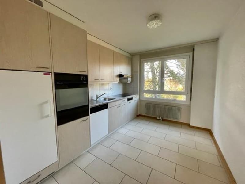 Large family apartment in Lyss (2)