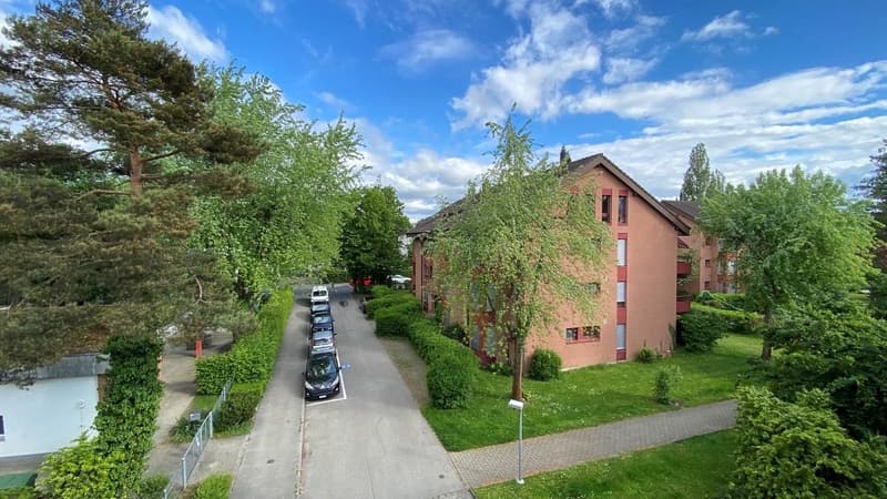 Large family apartment in Lyss (1)