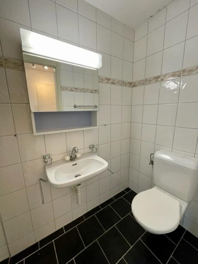 Large family apartment in Lyss (4)