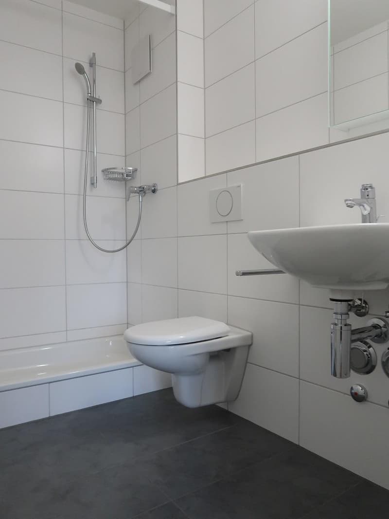 Appartement moderne à Lengnau (5)