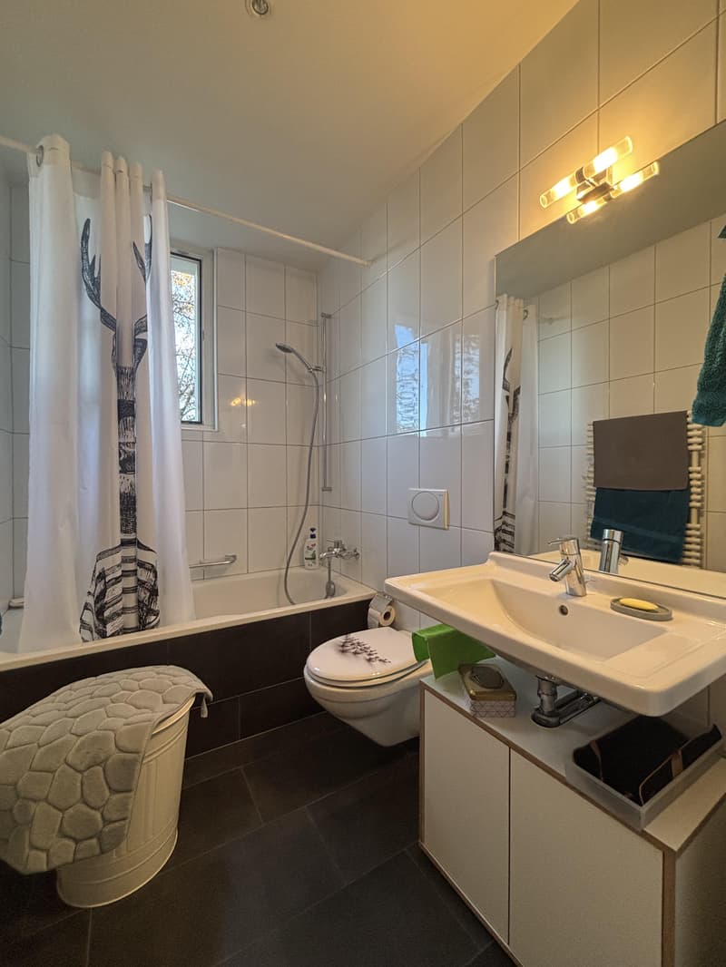 2.5 room apartment in Bern (5)