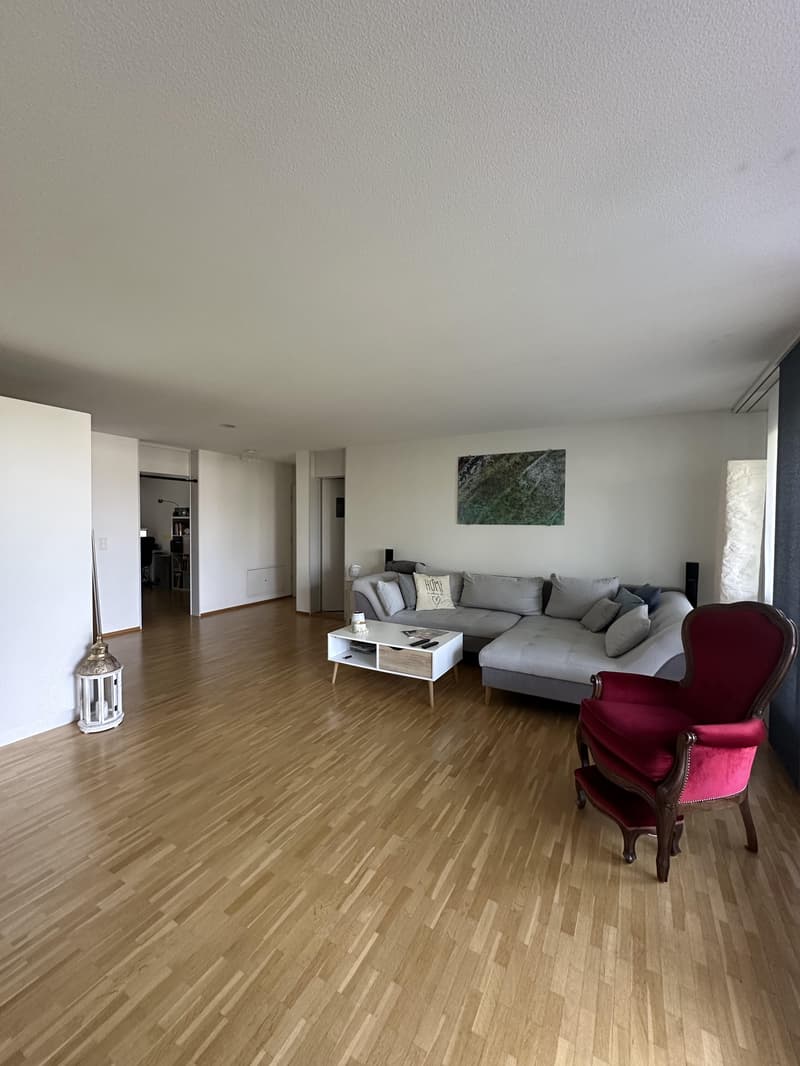 Appartement confortable de 4,5 pièces dans un quartier familial (5)