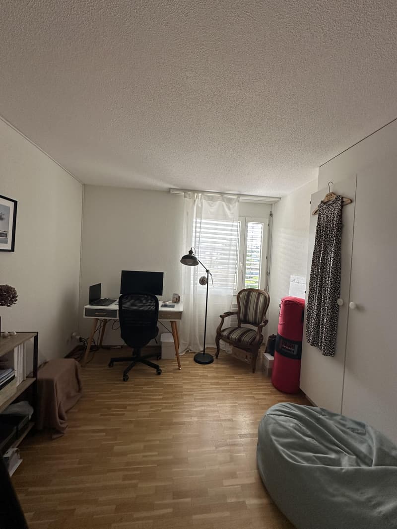 Appartement confortable de 4,5 pièces dans un quartier familial (7)