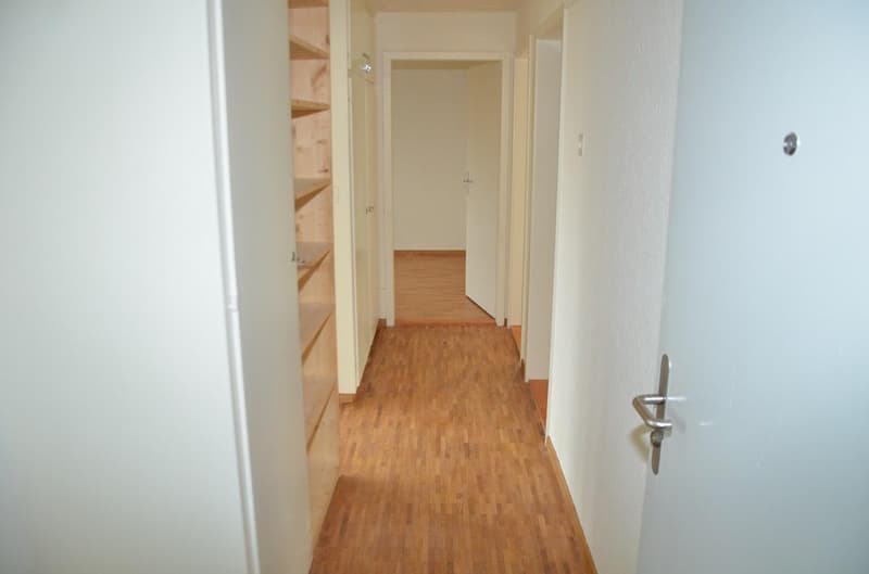 1 mois de vie gratuit ! Appartement confortable 3 pièces avec grand balcon (3)