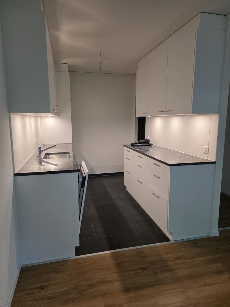 Appartamento ristrutturato nel quartiere di Wittikofen (3)
