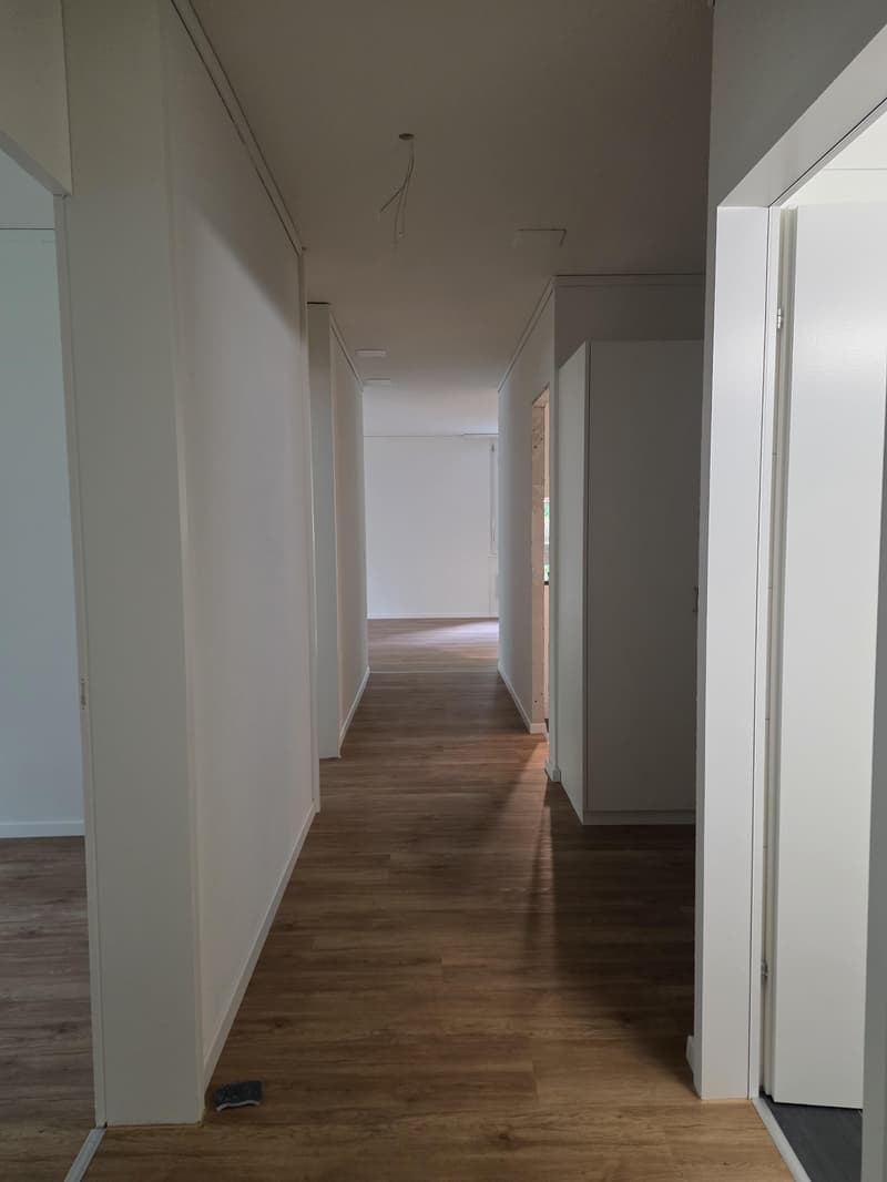 Appartamento ristrutturato nel quartiere di Wittikofen (10)