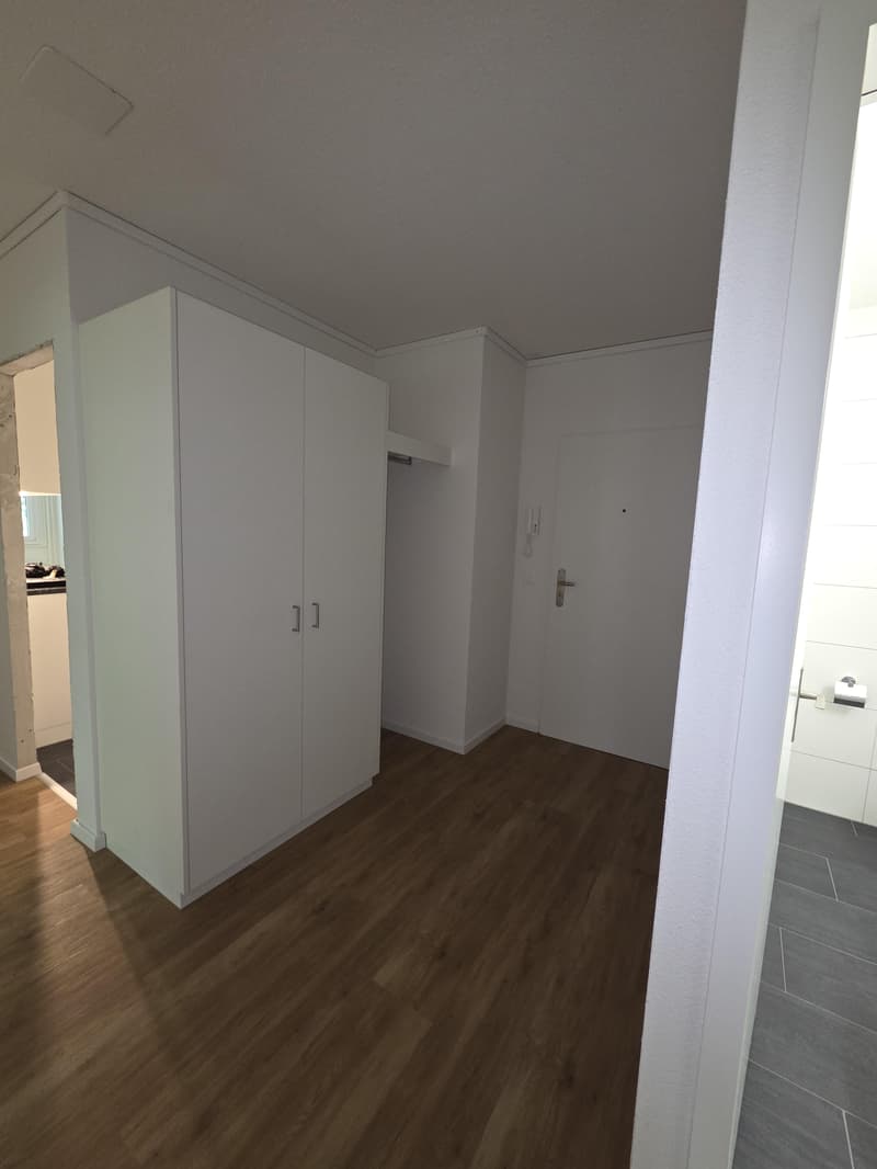 Appartamento ristrutturato nel quartiere di Wittikofen (7)
