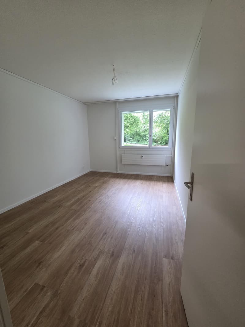Appartamento ristrutturato nel quartiere di Wittikofen (9)