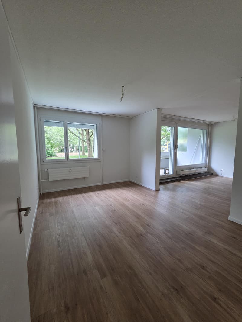 Appartamento ristrutturato nel quartiere di Wittikofen (4)