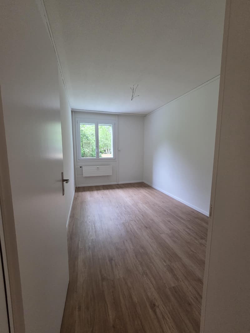 Appartamento ristrutturato nel quartiere di Wittikofen (8)