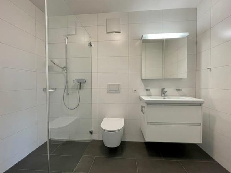 2.5 Zimmerwohnung in Worb (5)