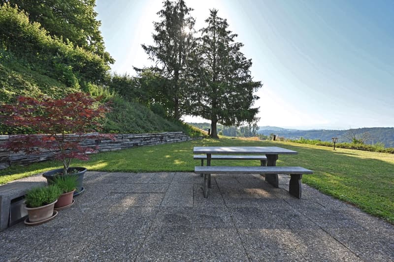 A home with a far-reaching view, privacy, and development potential (4)
