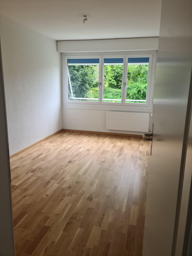 Sanierte 3.5-Zimmerwohnung im Hochparterre (6)
