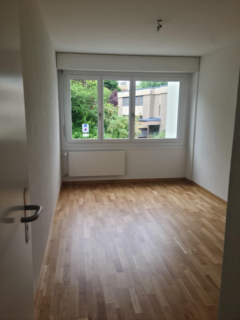 Sanierte 3.5-Zimmerwohnung im Hochparterre (7)
