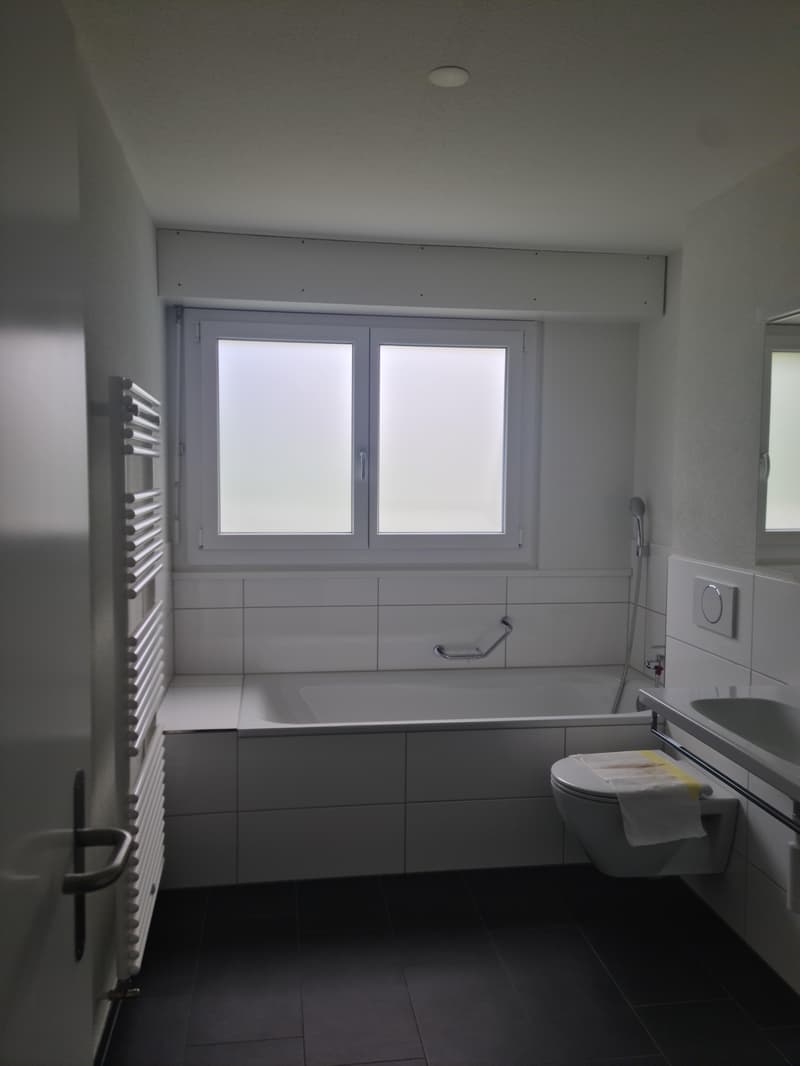 Sanierte 3.5-Zimmerwohnung im Hochparterre (8)