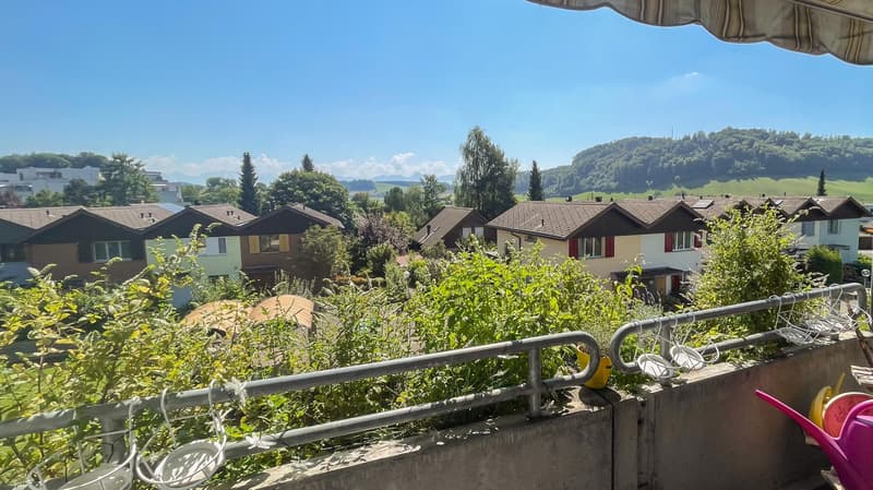 Einen Monat mietfrei attraktive 5.5-Zimmer-Duplexwohnung (12)