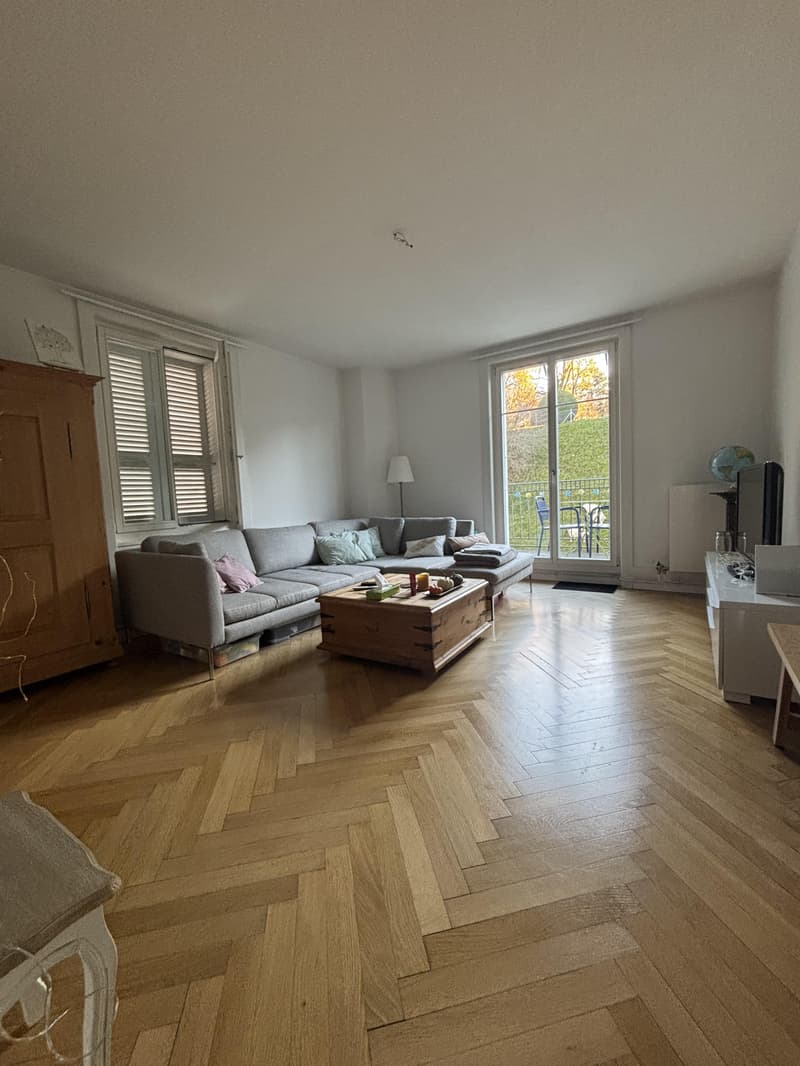 Helle Wohnung an guter Lage (4)