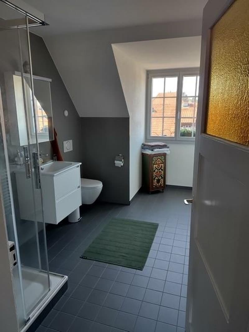 Moderne Dachwohnung an ruhiger Lage in Bern (4)