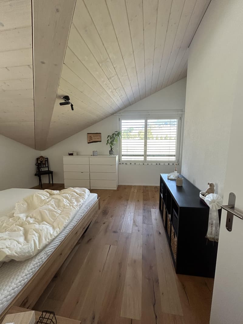 Moderne Dachwohnung mit Blick ins Grüne (7)