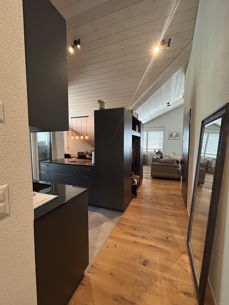 Moderne Dachwohnung mit Blick ins Grüne (2)