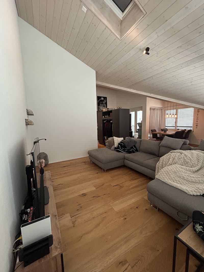 Moderne Dachwohnung mit Blick ins Grüne (5)