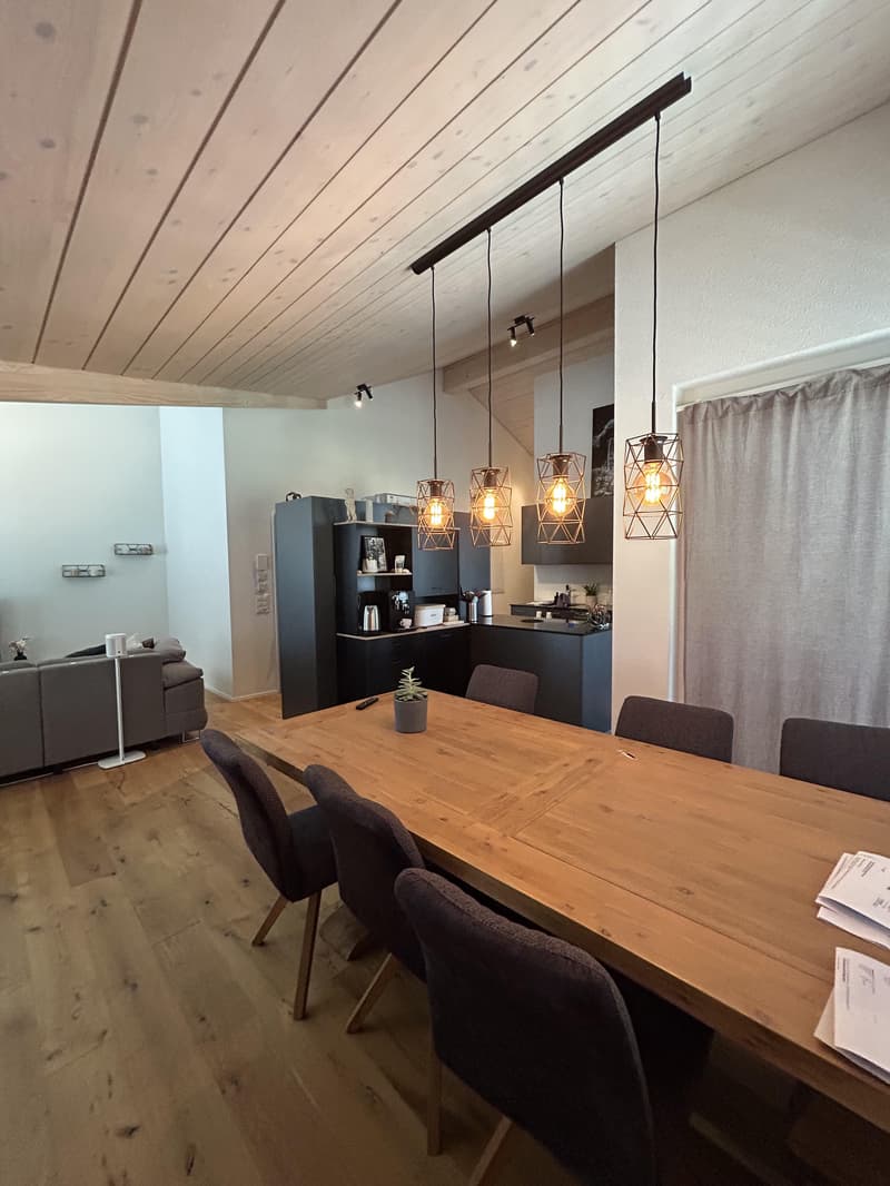 Moderne Dachwohnung mit Blick ins Grüne (6)