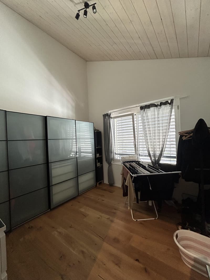 Moderne Dachwohnung mit Blick ins Grüne (8)