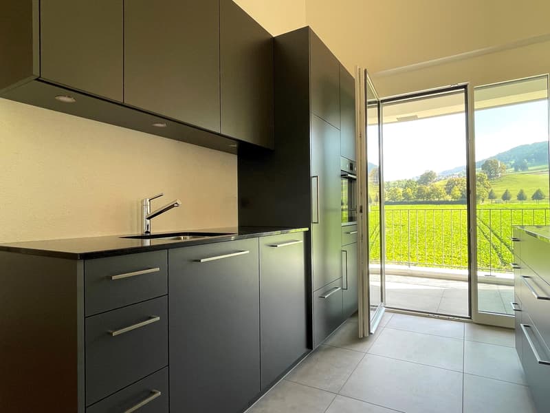 Moderne Dachwohnung mit Blick ins Grüne (1)