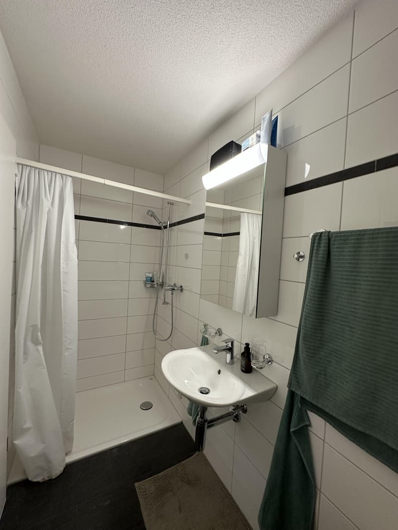 Wohnung im Eigentumsstandard in ruhigem Quartier (3)