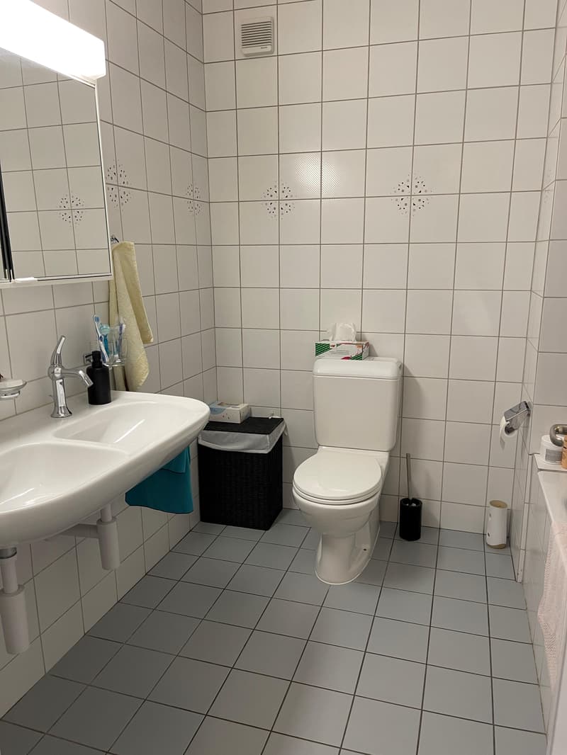 Wohnen im Wankdorf - Wir haben die passende Wohnung! (3)