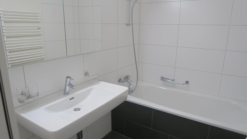 Charmante Wohnung in der Nähe vom Rosengarten (10)